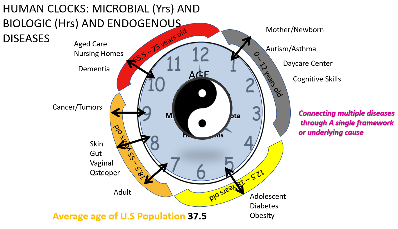The microbial clock with different phases of human development and the related metagenomics.